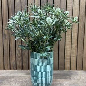 Tidsler 5 stilke bdt