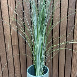 Bjørnegræs/Siv bdt