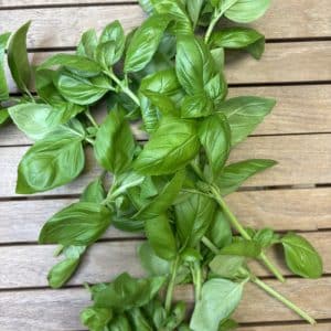 Basilikum 500g Øko bk