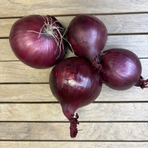 Rødløg 10 kg Øko sæk