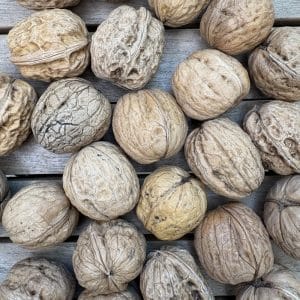 Valnødder tørrede 5kg sk