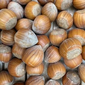 Hasselnødder tørrede 1 kg